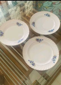 Ceramic Food Plates