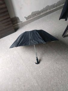 Nice Umbrella