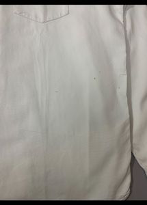 Lacoste Shirt For Men’s.
