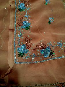 Elegant heavy Peach Saree