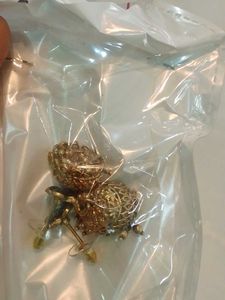 Gold Plated Chocker
