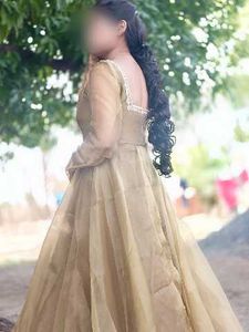 Elegant Anarkali Gown