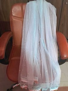 Elegant Net Dupatta