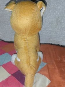 A66 Cute Bulldog Brown And White Colour