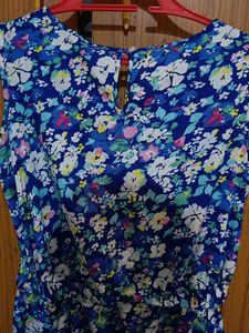 Blue Tunic