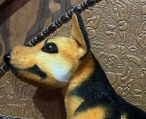 Dog , Soft Toy  For Kid