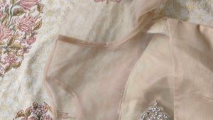 Elegant Embellished Lehenga Choli