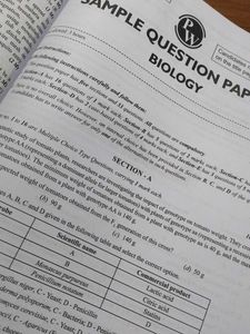 30 sample papers