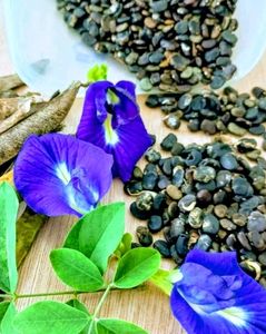 Seeds . Blue Flower It Can Use For Puja Also..