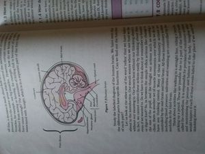 NCERT Book Of Science