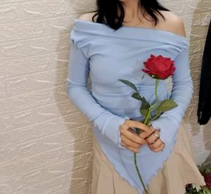 Korean Fitted Top