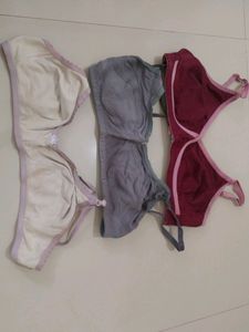 Garments