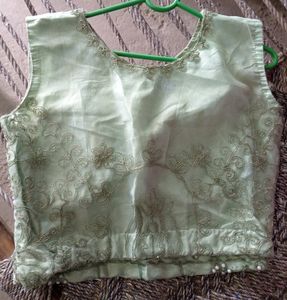 Lehenga Skirt With Top