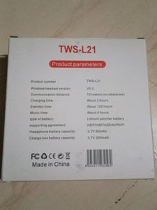 TWS-21 Air Birds