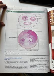 Inderbir Singh Histology Book