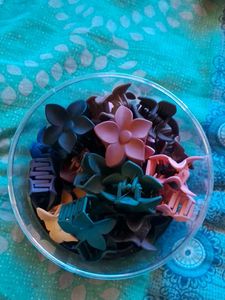 Hair Clip Claw Pick 5