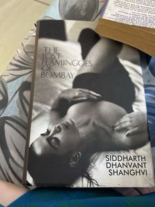 The Lost Flamingoes of Bombay