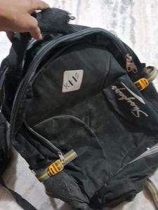 Stylish Laptop Backpack.skybag,leviya