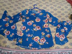 Blue Bell Sleeves Top