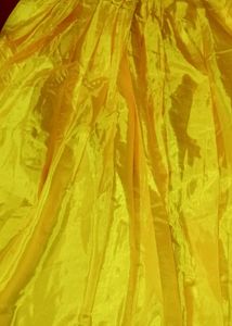 Lehanga And Dhuppatta No Blouse Botique For Sale