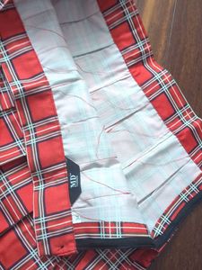 Red Plaid Pleated Skirt