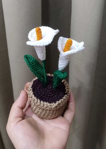 Crochet Calla Lily Plant