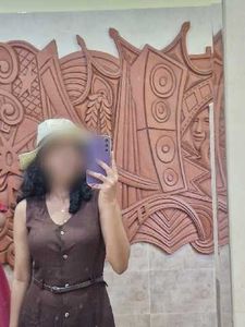 Chic Brown Button-Down Dress