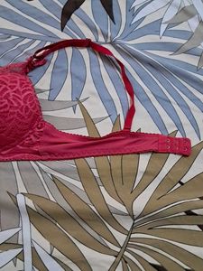Combo Of Four Imported  Bra