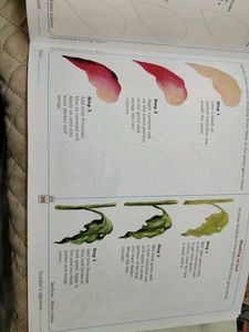Colouring Book