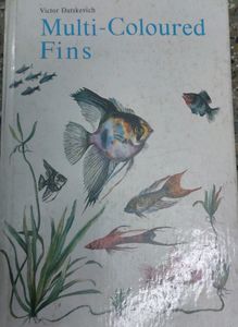 Multicolored Fins Books About Types Of Fishes