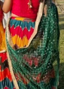 Vibrant Multi-Colored Lehenga with Green Net Dupat