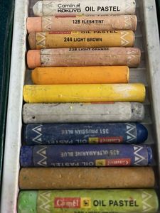 Camel oil pastels for coins