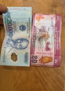 Foreign Bank Notes