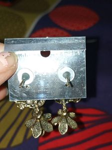 Classic Earrings