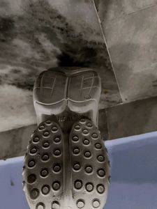 Stylish Chunky Sneakers