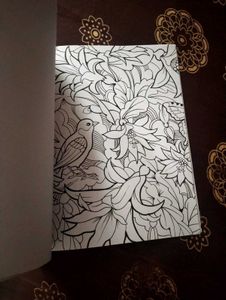 Coloring Book for Adults