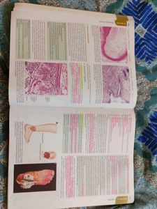 Textbook of Pathology - Harsh Mohan 9th edition