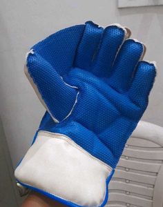 Wickets Gloves And Leg Guard