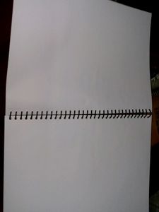 Paperisto Spiral Notebook (Pack Of 2)