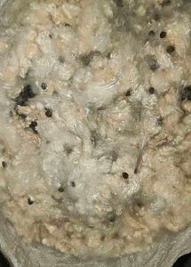 shimmer cotton(2kg)