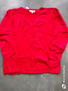 Red Embellished V-Neck Sweater