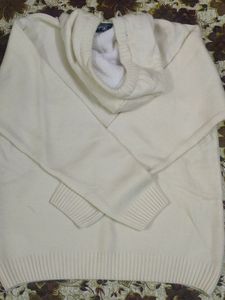 Hoodies Sweatshirt (BWinter Wear)