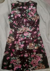 Knee Length Dress