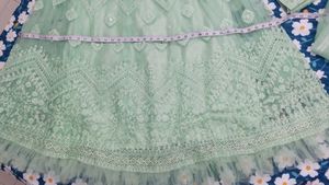 Mint Green Lehenga Choli
