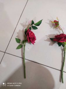Red Rose