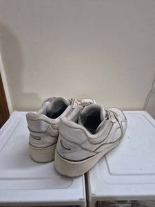 Mens Sneakers.