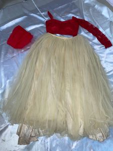 Lehenga Choli