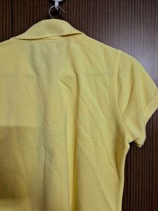 Cobb Collared Tshirt | 40