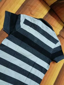Roadster Men Brand Logo Cotton Polo Tshirt