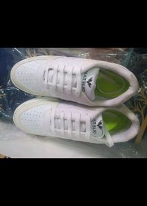 Colour Changing Shoes